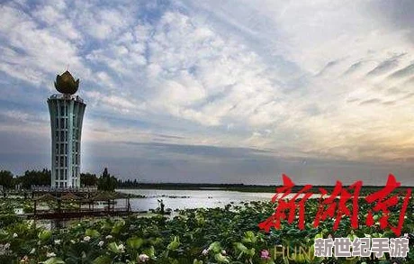 亚洲人成片在线观看