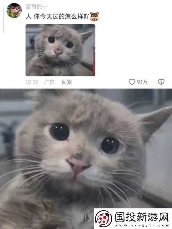 不懂小肚子的有难了