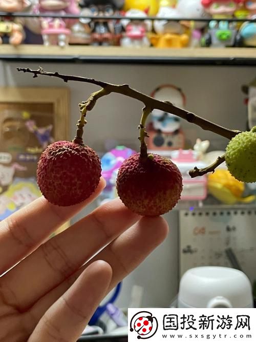 荔枝的甜蜜与窦寇儿的故事