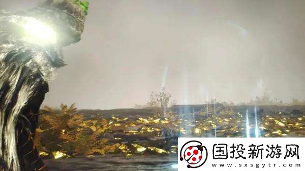 艾尔登法环怎么联机丢东西
