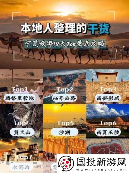 我的宁夏升级难题全攻略