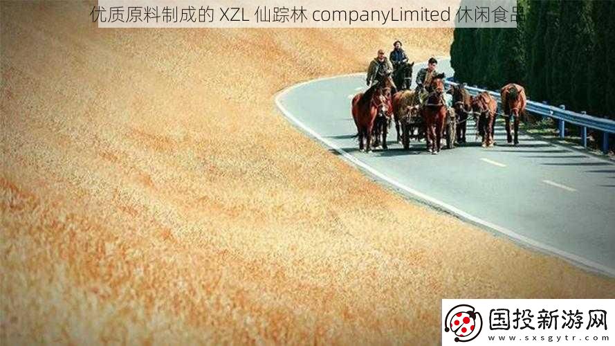 优质原料制成的XZL仙踪林companyLimited休闲食品