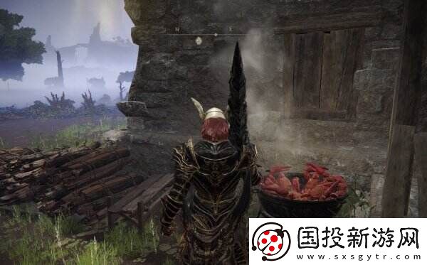 艾尔登法环怎么升级人物等级属性
