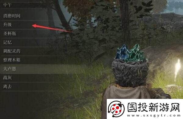 艾尔登法环怎么升级人物等级属性