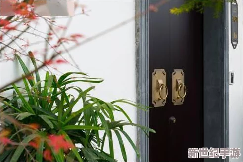 成年女人看片免费视频频