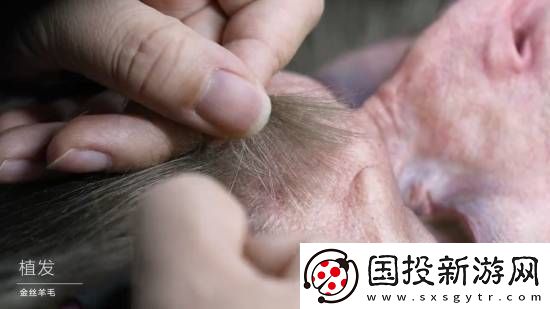 黑神话半身像幕后大揭秘！33800元