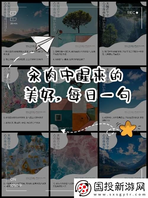 内容丰富