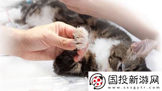 你怎么看