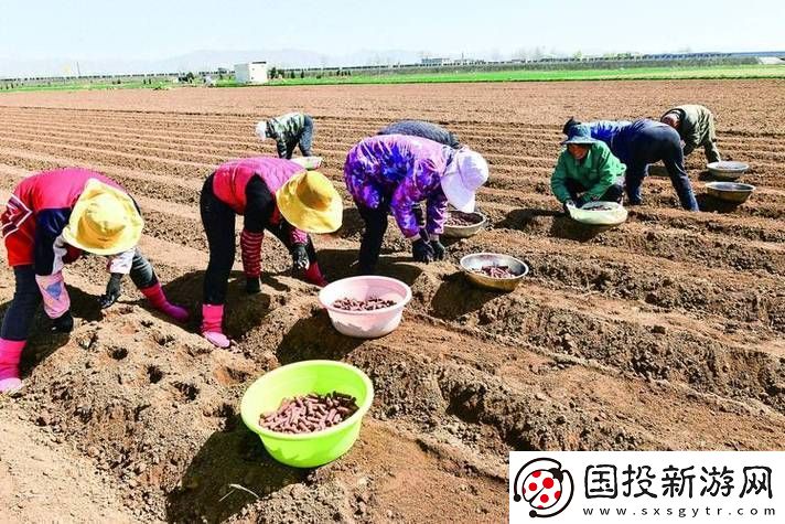 耕种姨妈肥沃的土地