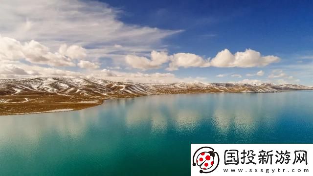 内容丰富无人区编码6229JMy