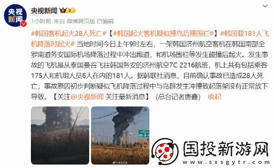 韩国撞墙客机黑匣子已找到