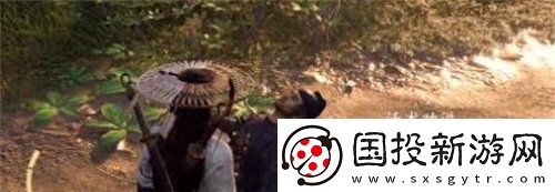 燕云十六声追光的人任务怎么做
