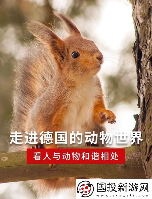 探讨“欧洲人物动物交互”的文化意义与影响