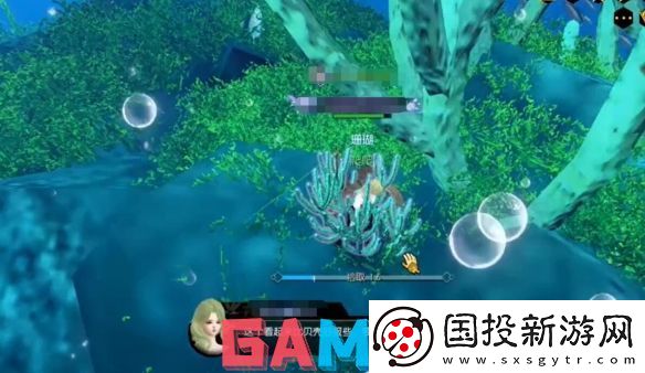 逆水寒逸闻任务无家可龟怎么做