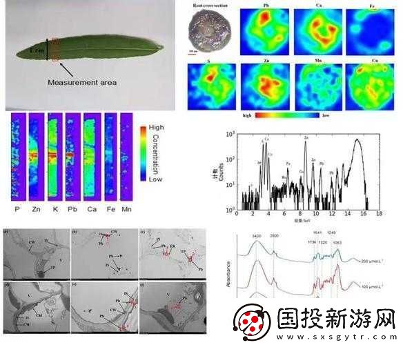 榨汁精灵的繁衍条件有哪些新发现科研成果展示及深度剖析