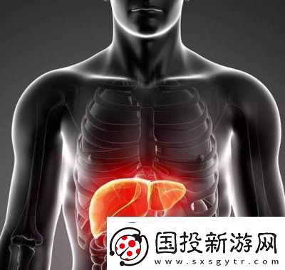 办公室强肝