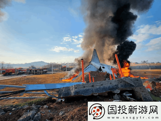 专家称韩国空难机场设计近乎犯罪！179人本不会死