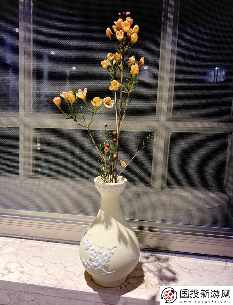 探秘“金花瓶楷梅花2”
