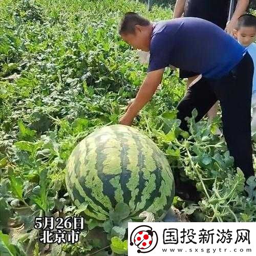 呱呱大爆料往期瓜合集
