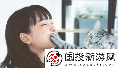 飞燕app下载