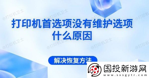 打印机首选项没有维护选项什么原因