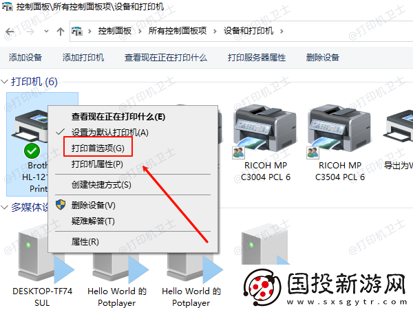 打印机首选项没有维护选项什么原因