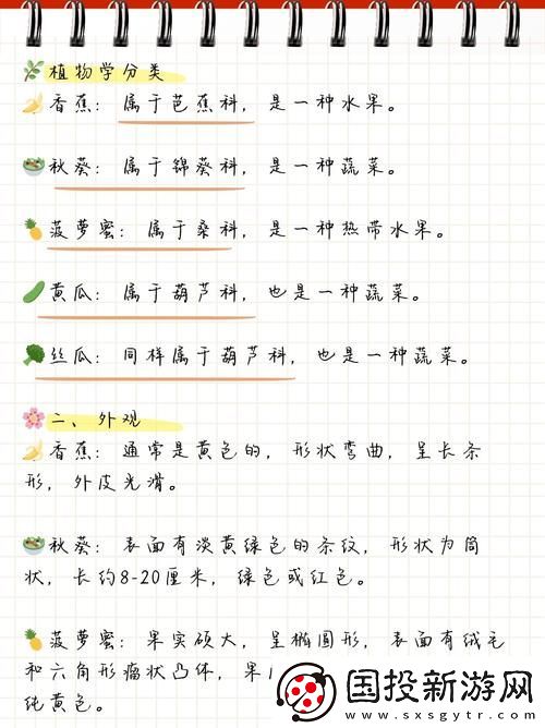 探索健康饮食的乐趣
