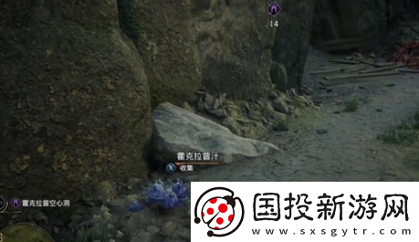 霍格沃茨之遗霍克拉普汁在哪
