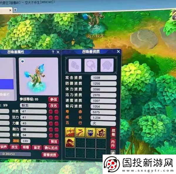 梦幻西游手游蛟龙图鉴揭秘神秘宠物属性与技能