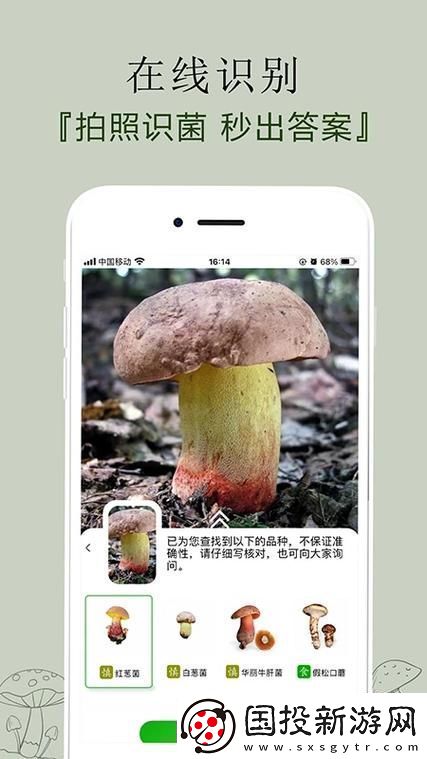 安全蘑菇app