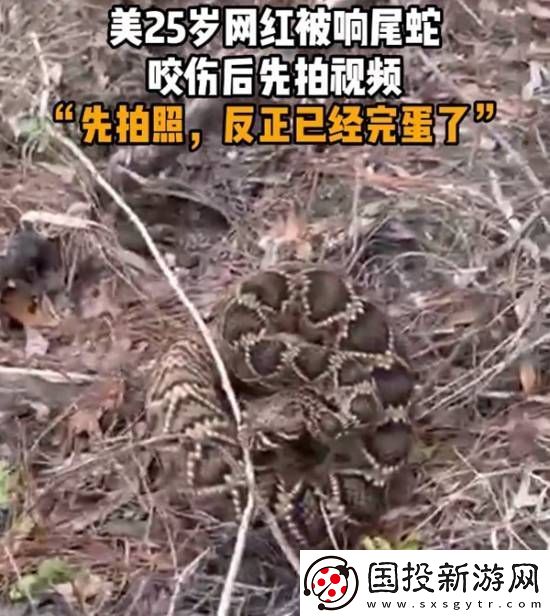 美国25岁红被响尾蛇咬伤后先拍视频