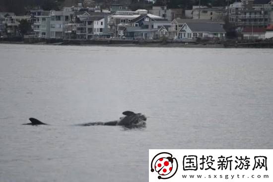 7年前的一幕重现