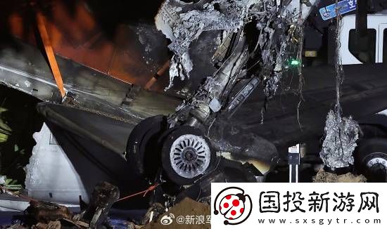 多张韩国空难现场照曝光