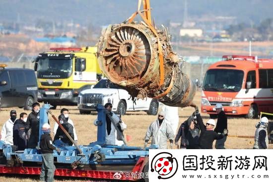 多张韩国空难现场照曝光
