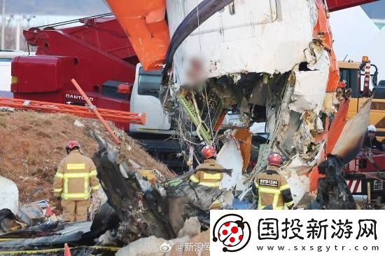 多张韩国空难现场照曝光