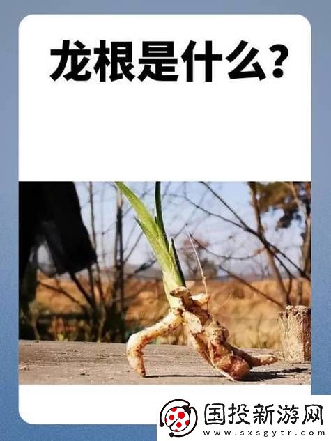 用龙根养大的公主姜宜珠姜封