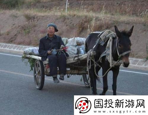 傻大壮驴事非凡