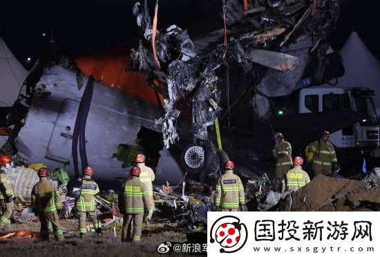 多张韩国空难现场照曝光
