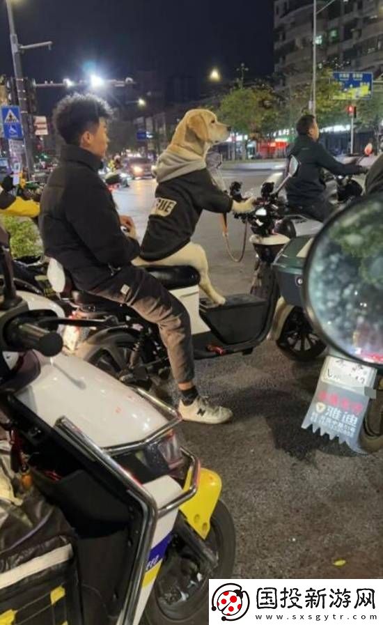 和脸一起出镜的博主