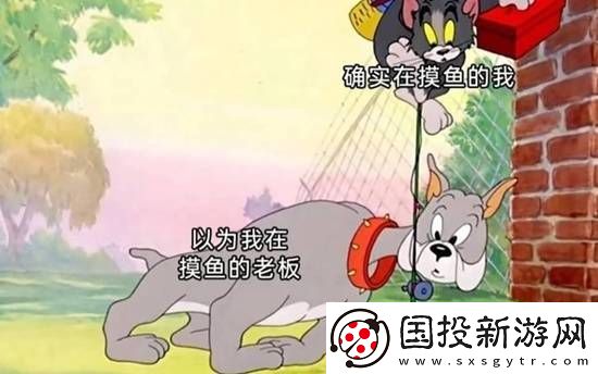 和脸一起出镜的博主