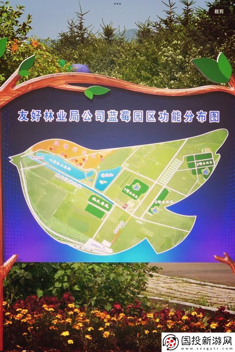 探索自然的奇迹