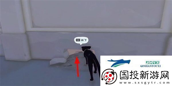 小猫咪大城市瓢虫帽怎么收集瓢虫帽收集方法