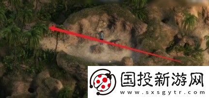 纳迪亚之宝荆棘怎么去除