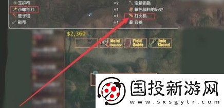 纳迪亚之宝荆棘怎么去除