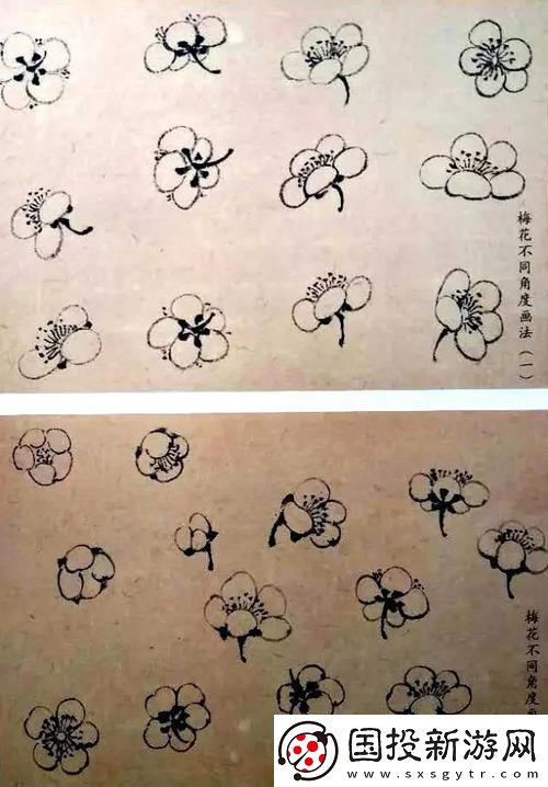 梅花开几度老张周梅