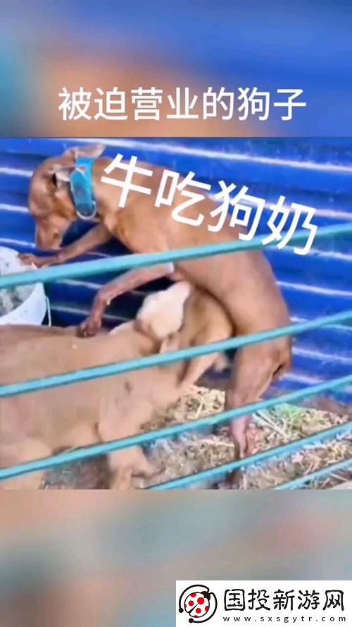 内容多样公天天吃我奶躁我
