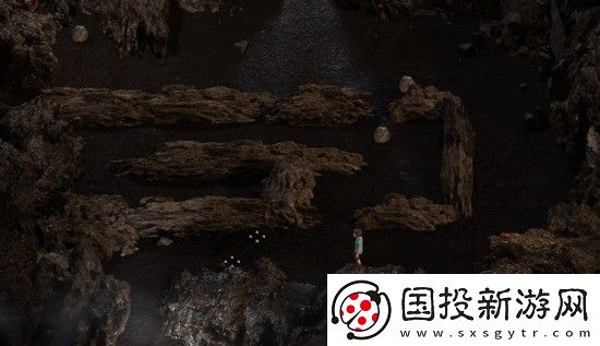 纳迪亚之宝红参刷新点在哪