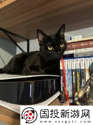 猫猫趴在PS5上不愿离开！玩家