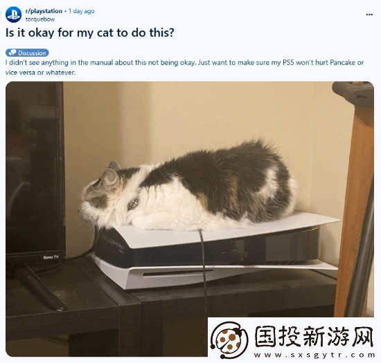 猫猫趴在PS5上不愿离开！玩家