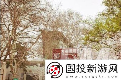 鸡鸣寺的樱花开了梗抖音鸡鸣寺的樱花开了梗意思解释